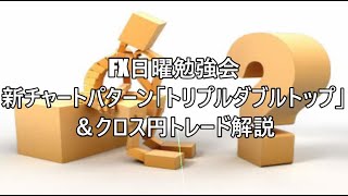 FX日曜勉強会 新チャートパターン「トリプルダブルトップ」＆クロス円トレード解説 #fx初心者 #fx必勝法 #トレードシナリオ